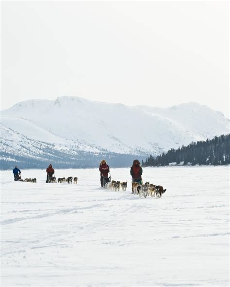 Yukon Pro Tips: Winter photography | Travel Yukon - Yukon, Canada ...