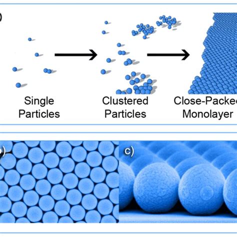 A Illustration Of The Self Assembly Of Colloidal Particle Structures Download Scientific