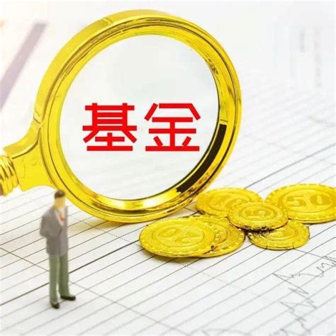 年内新发基金近1 1万亿元，近四个月发行规模均破千亿 产品 板块 存单