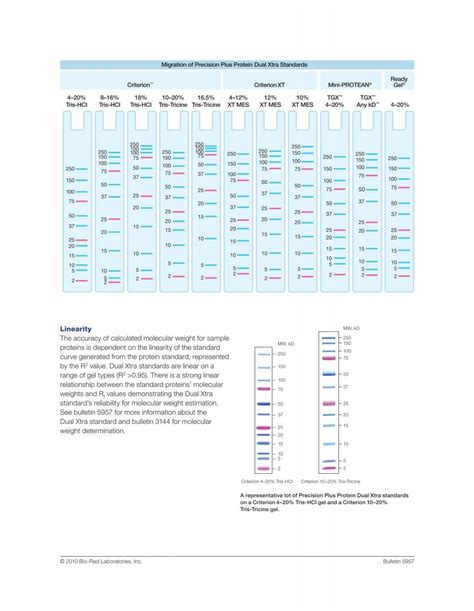 Precision Plus Protein Dual Xtra Standards Bio Rad