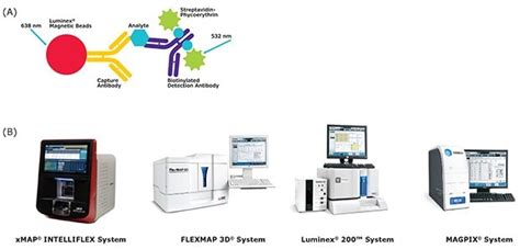 Non Human Primate Cytokine Multiplex Panel