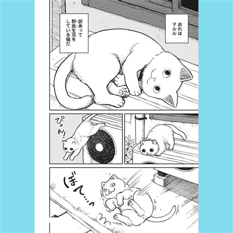 【漫画】たくましく生きる姿に泣ける！『ツレ猫 マルルとハチ』が描く野良猫たちの甘くない現実【voceマンガサークル】｜美容メディアvoce