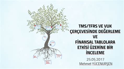 Tms Tfrs Ve Vuk Er Eves Nde De Erleme Ve F Nansal Tablolara By Mehmet