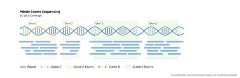 Types Of Sequencing Introduction To Genomics For Engineers