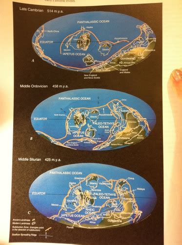 Geology - Chapter 20: Ordovician Flashcards | Quizlet