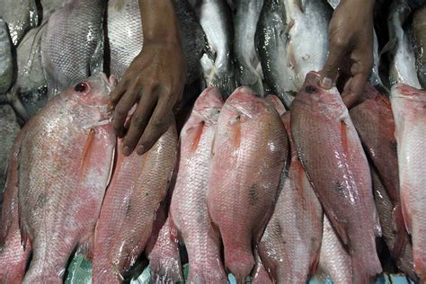 Cuaca Buruk Membuat Pedagang Ikan Segar Kekurangan Pasokan