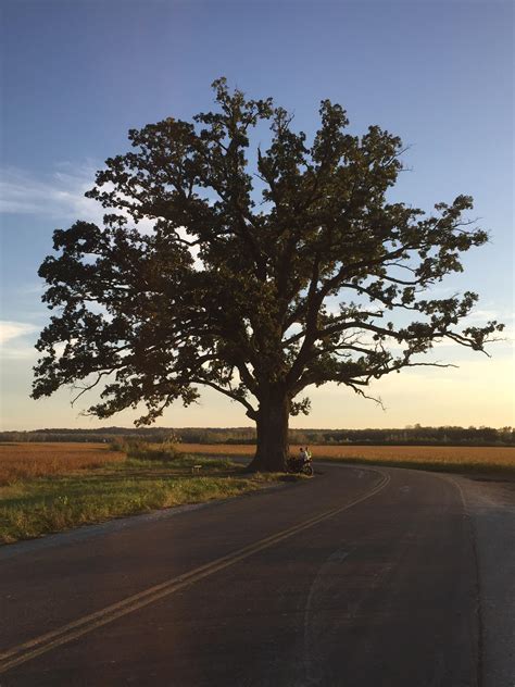 1324 best Columbia MO images on Pholder | Columbiamo, Most Beautiful