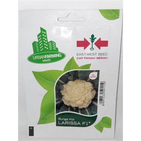 Jual Benih Bunga Kol Kembang Kol Cauliflower Larissa Biji Panah