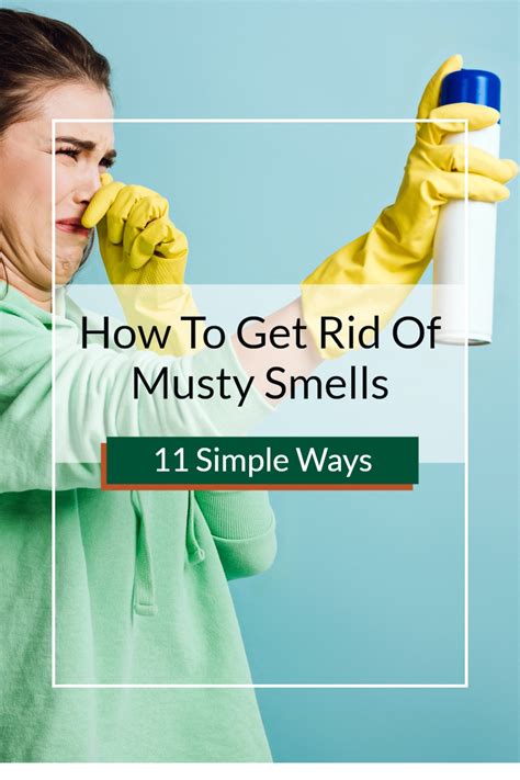 How To Get Rid Of Musty Smell In Furniture Fabric At Aidan Raymond Blog