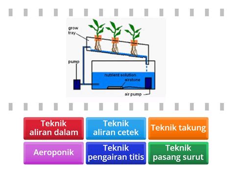 Sistem Hidroponik Find The Match