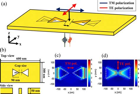 Scheme Of Polarization Dependent Eot A When Tm Or Te Polarized Light