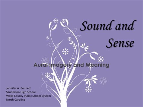Aural Imagery Sound And Sense Devices