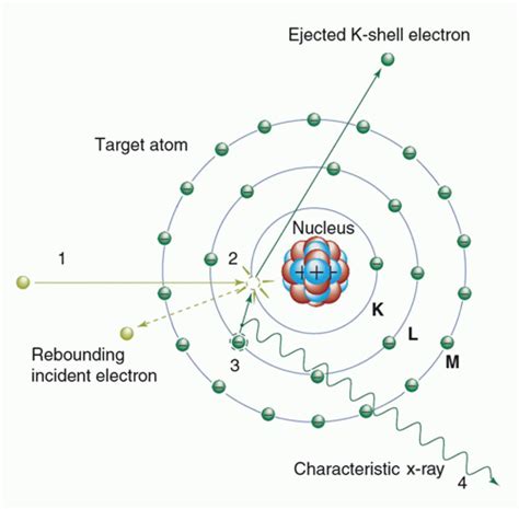 X Ray Production Tubes And Generators Radiology Key