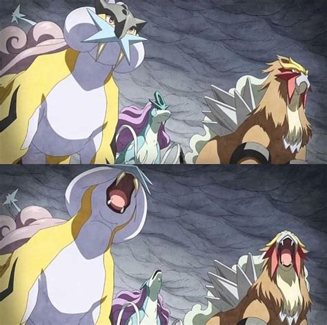 The Legendary Beasts in Pokemon Generations | Pokemon entei, Pokemon moon, Anime