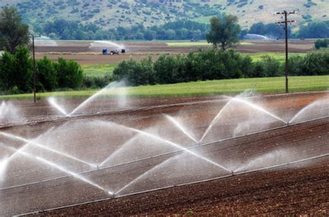 Rea Irrigada Total No Brasil De Milh Es De Hectares Revista Rural