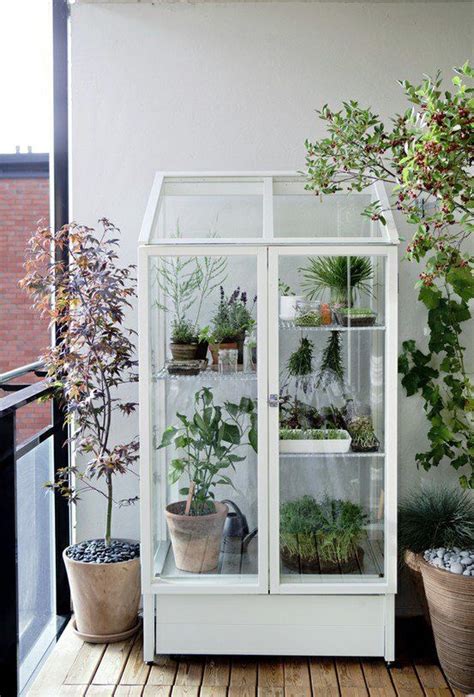 Plexiglass Greenhouse Indoor Outdoor