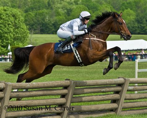 Steeplechase Horse Racing