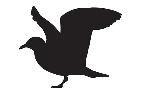 Seagull Silhouette Grafik Von Illustrately Creative Fabrica