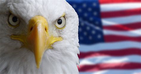 im  progressive  guess  im  conservative