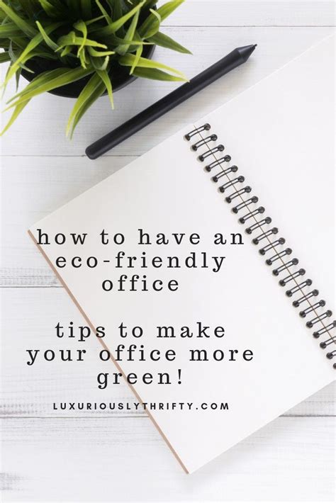 Make Your Office Greener Tips For An Eco Friendly Office Artofit