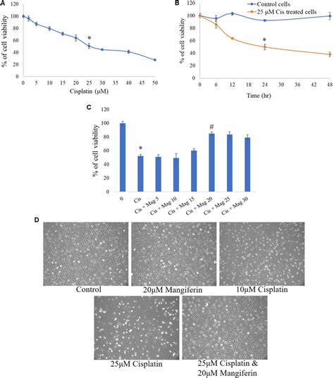 Mtt Cell Viability Assay Was Performed To Estimate The Cytotoxic