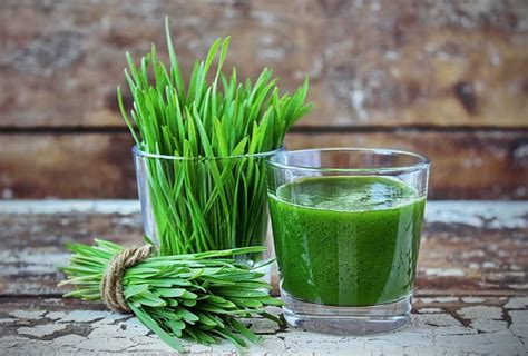 Wheatgrass Juice Nutrition Benefits And How To Consume It