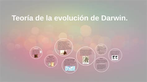 Teoría De La Evolución De Darwin By Melisa Amarillo