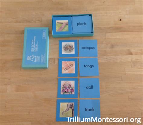 The Montessori Blue Series For Reading