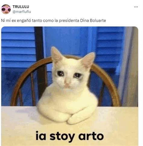 Dina Boluarte Memes Inundan Las Redes Sociales