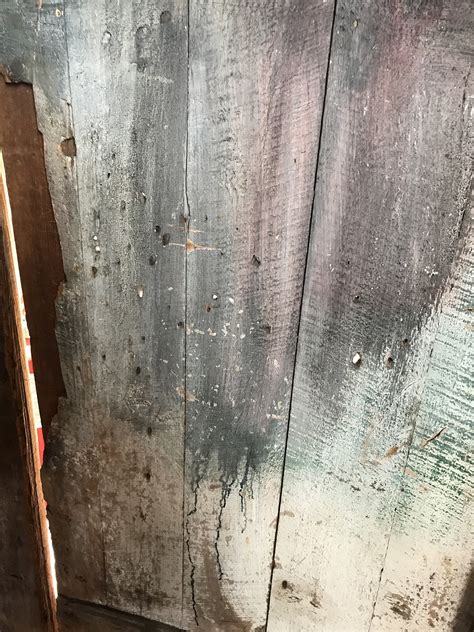 pintu arsitektur melukis foto gratis  pixabay pixabay