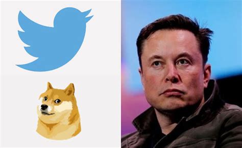 Elon Musk Replaces Twitters Blue Bird Logo With Doge Meme