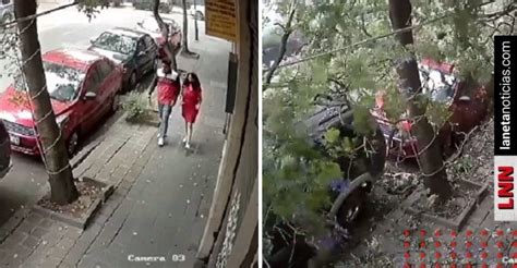 Pareja Se Salva De Ser Aplastada Por Rbol En Cdmx Video