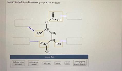 Solved Identify The Highlighted Functional Groups In This Chegg