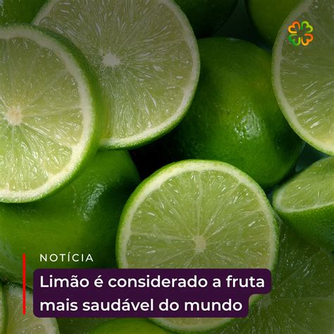 Limão é considerada a fruta mais saudável do mundo Evolveg