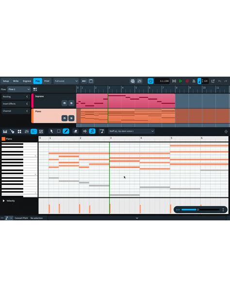 Steinberg Dorico Pro 4 Education Logiciel édition partitions