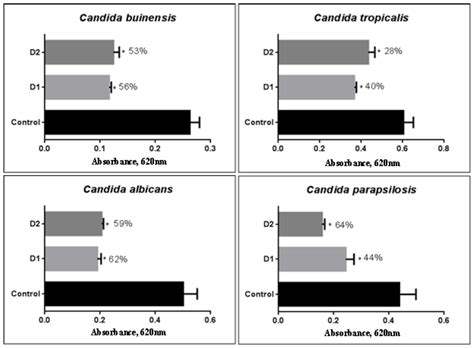 Scielo Brasil Characterization And Antimicrobial Activity Of Protease