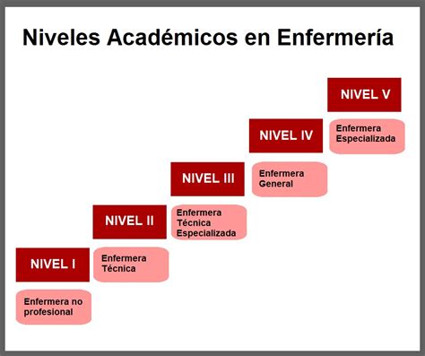 Conoce Los Niveles De La Enfermería Y Sus Características