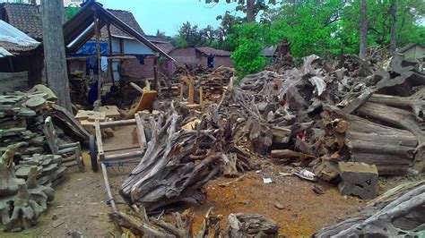 Kerajinan Limbah Kayu Koleksi Limbah Akar Pohon Jati Dan Gembol AKAR JAYA