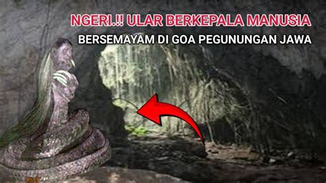 Allahuakbar Ditemukan Ular Berkepala Manusia Di Pegunungan Jawa