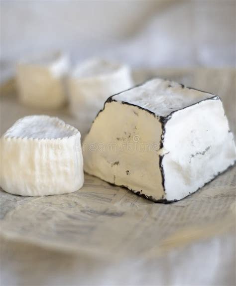 Various Types of Cheese with White Mold on Packaging Paper. Stock Image ...