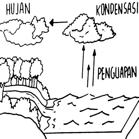 Cara Membuat Gambar Bagan Sederhana Tentang Siklus Air Kelas