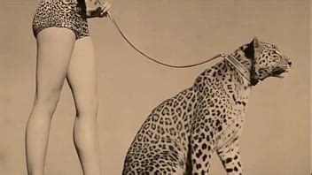 Dark Lantern Entertainment Presents Vintage Nature Girls Xvideos