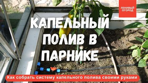 Как сделать капельный полив своими руками | Капельный полив в теплице ...