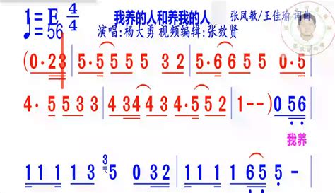 【张效贤爱音乐】《我养的人和养我的人》简谱杨大勇演唱 2万粉丝1万作品期待你的评论音乐视频 免费在线观看 爱奇艺