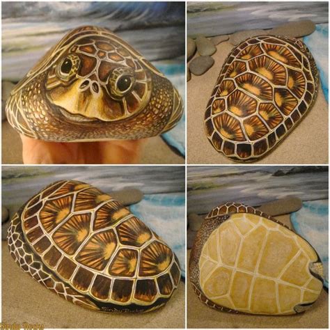 Albums 93 Pictures Turtle Rock And Stock All Types Of Which Creature