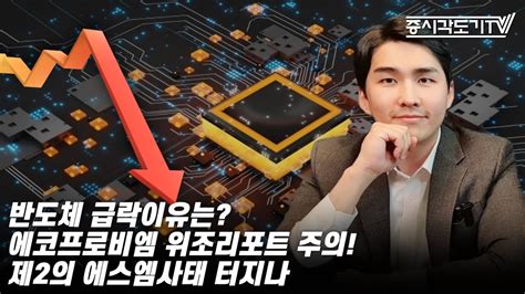 한국시황 반도체 급락이유는 에코프로비엠 위조리포트 주의 제2의 에스엠사태 터지나