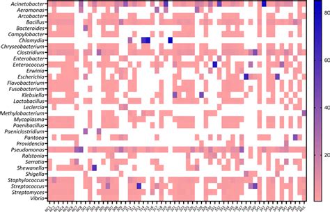 Heat Map Showing The Relative Abundance Levels Of The Most Abundant