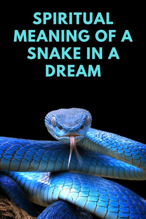 What Is The Spiritual Meaning Of A Snake In A Dream Spiritual