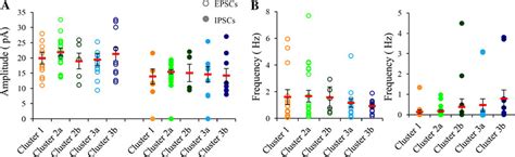 Recording Of Spontaneous Excitatory And Inhibitory Synaptic Inputs To Download Scientific