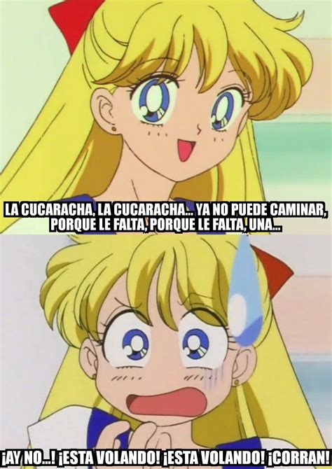 Mina Aino Y La Cucaracha Meme Meme De Sailor Moon Memes Animados